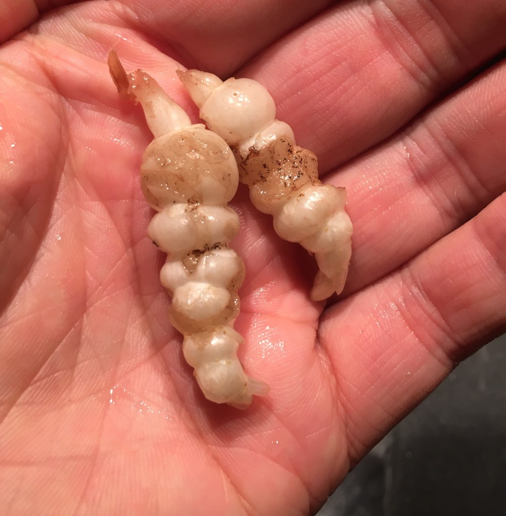 tracks along the surface shows I was beaten to it