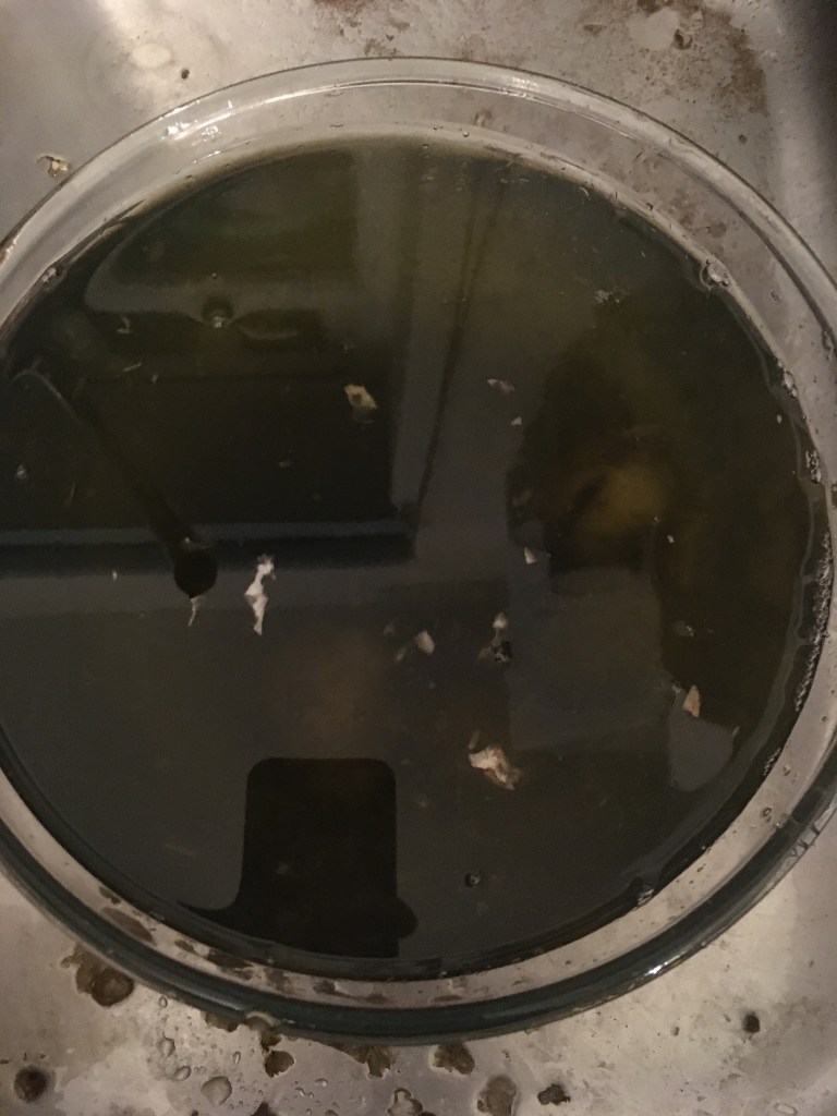 as the peels were rinsed off in the water it turned a very dark green